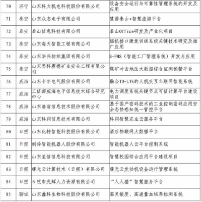 日照5家企業(yè)入選省級(jí)重點(diǎn)項(xiàng)目名單，引領(lǐng)網(wǎng)絡(luò)與信息安全軟件開發(fā)新浪潮